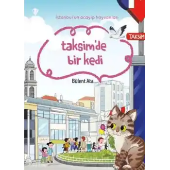 İstanbulun Acayip Hayvanları Taksimde Bir Kedi