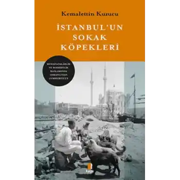İstanbul’un Sokak Köpekleri