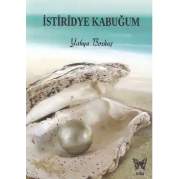 İstiridye Kabuğum