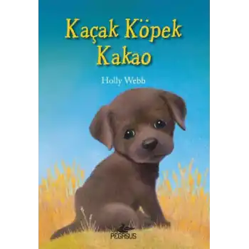 Kaçak Köpek Kakao