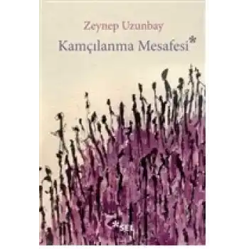 Kamçılanma Mesafesi