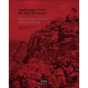 Kaplumbağa Geldi Bir Gün Tek Başına