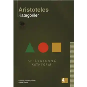 Kategoriler