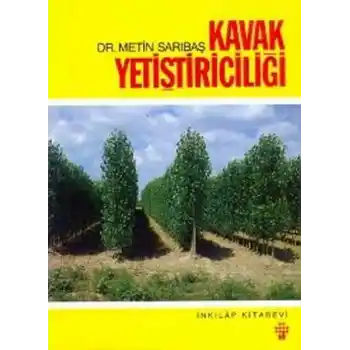 Kavak Yetiştiriciliği