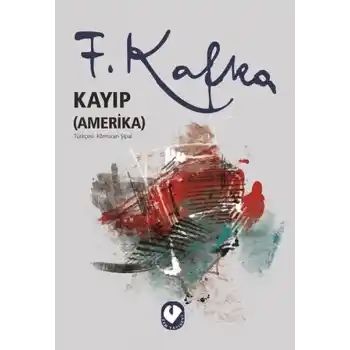 Kayıp (Amerika)