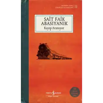 Kayıp Aranıyor (Şömizli)