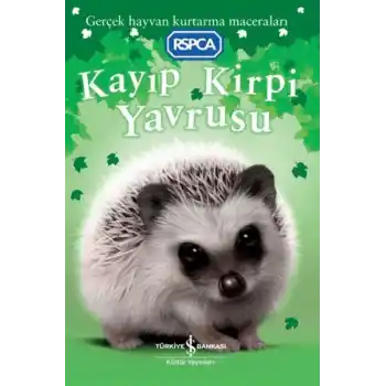 Kayıp Kirpi Yavrusu