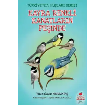 Kayra Renkli Kanatların Peşinde Türkiyenin