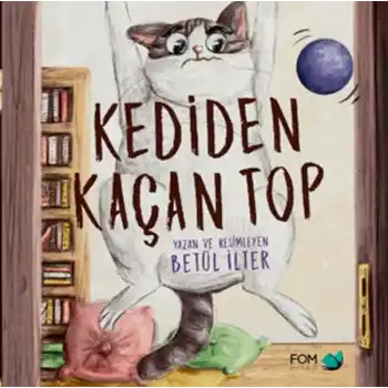 Kediden Kaçan Top