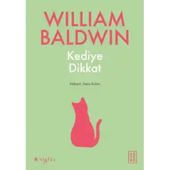 Kediye Dikkat