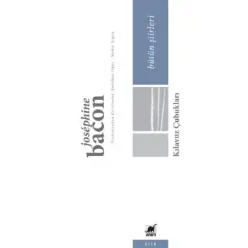 Kılavuz Çubukları