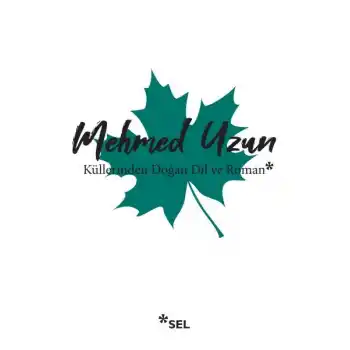 Küllerinden Doğan Dil ve Roman