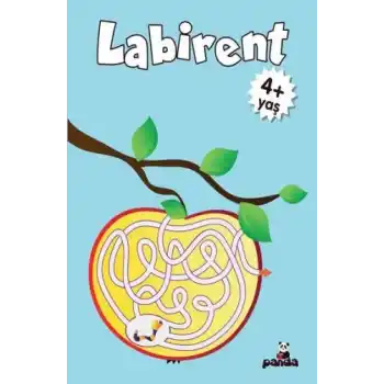 Labirent 4 Yaş