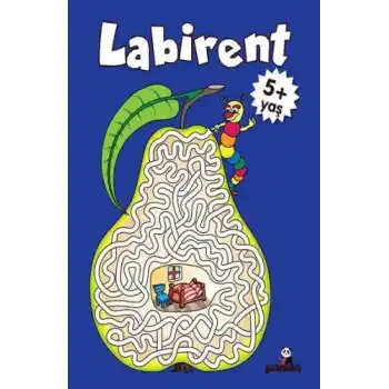 Labirent 5 Yaş