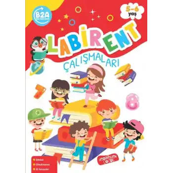 Labirent Çalışmaları