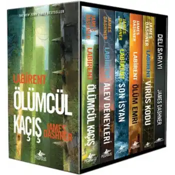 Labirent Serisi Kutulu Set (6 Kitap)