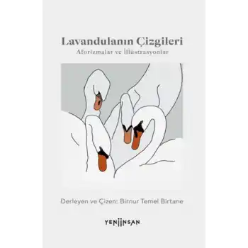 Lavandulanın Çizgileri