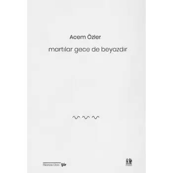 Martılar Gece de Beyazdır