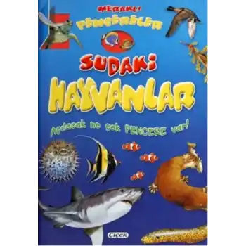 Meraklı Pencereler Sudaki Hayvanlar