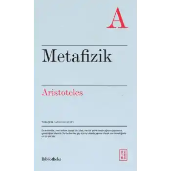 Metafizik