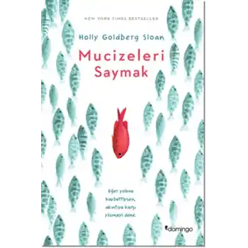 Mucizeleri Saymak