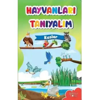 Muhteşem Çizimler ve Kolay Anlatım ile Hayvanları Tanıyalım Kuşlar