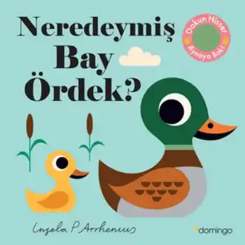 Neredeymiş Bay Ördek?