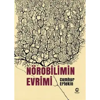 Nörobilimin Evrimi 