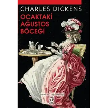 Ocaktaki Ağustos Böceği