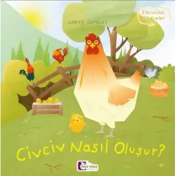 Oluşum Hikayeleri - Civciv nasıl oluşur?