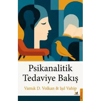 Psikanalitik Tedaviye Bakış