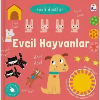 Sesli Dostlar - Evcil Hayvanlar (Sesli Kitap)