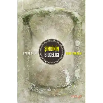 Şimdinin Bilgeliği