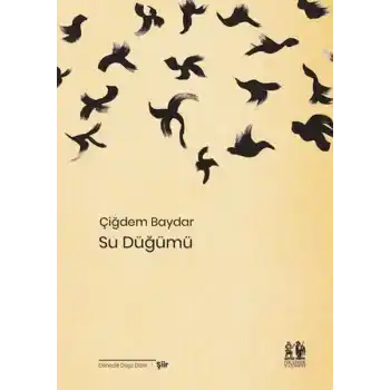 Su Düğümü