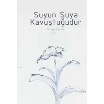 Suyun Suya Kavuştuğudur
