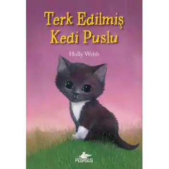 Terk Edilmiş Kedi Puslu
