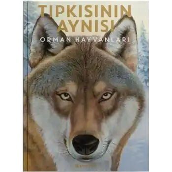 Tıpkısının Aynısı