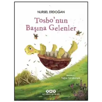 Tosbonun Başına Gelenler