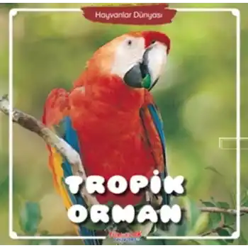 Tropik Orman - Hayvanlar Dünyası