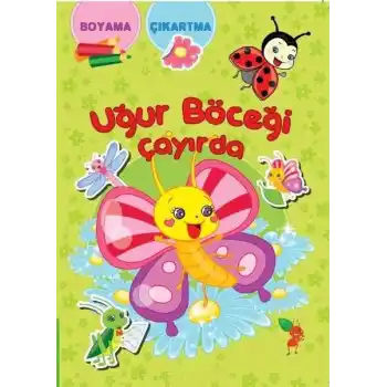 Uğur Böceği Çayırda