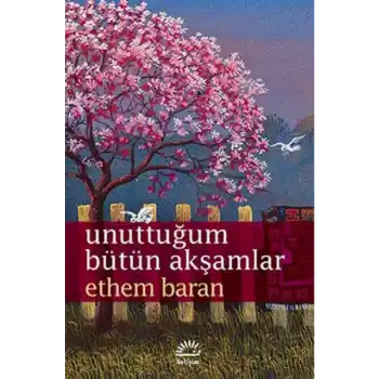 Unuttuğum Bütün Akşamlar