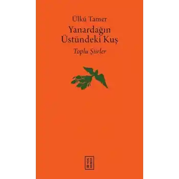 Yanardağın Üstündeki Kuş