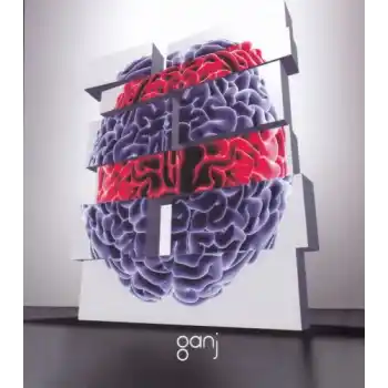 Yaşam Üzerine Yorumlamalar Cilt 2