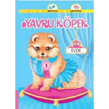 Yavru Köpek Evde