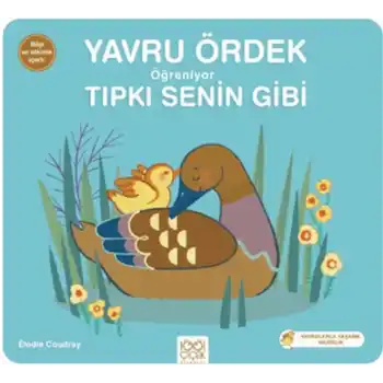 Yavru Ördek Öğreniyor Tıpkı Senin Gibi