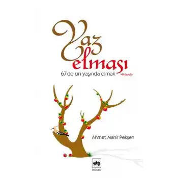 Yaz Elması  67de On Yaşında Olmak