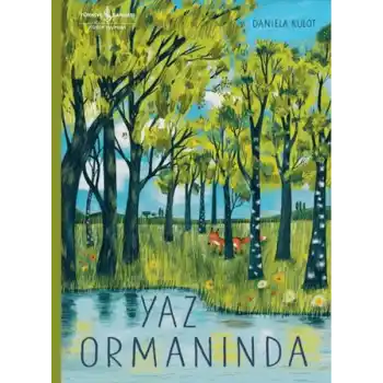 Yaz Ormanında