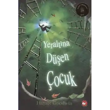 Yeraltına Düşen Çocuk