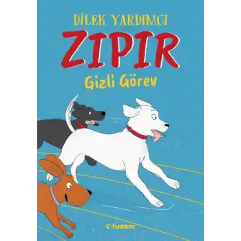 Zıpır Gizli Görev