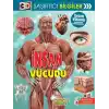 3D Şaşırtıcı Bilgiler - İnsan Vücudu